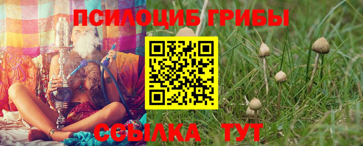 Галлюциногенные грибы MAGIC MUSHROOMS  Галлюциногенные грибы Magic Shrooms  Вход с VPN  Серпухов 